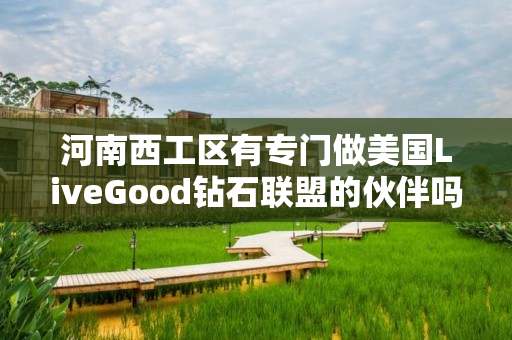 河南西工区有专门做美国LiveGood钻石联盟的伙伴吗