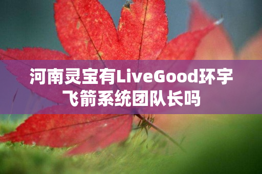 河南灵宝有LiveGood环宇飞箭系统团队长吗