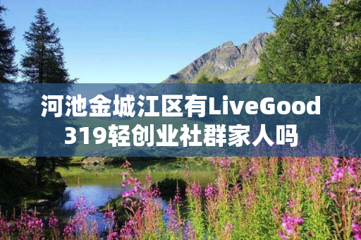 河池金城江区有LiveGood319轻创业社群家人吗