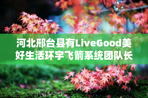 河北邢台县有LiveGood美好生活环宇飞箭系统团队长吗