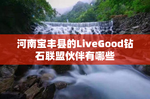 河南宝丰县的LiveGood钻石联盟伙伴有哪些