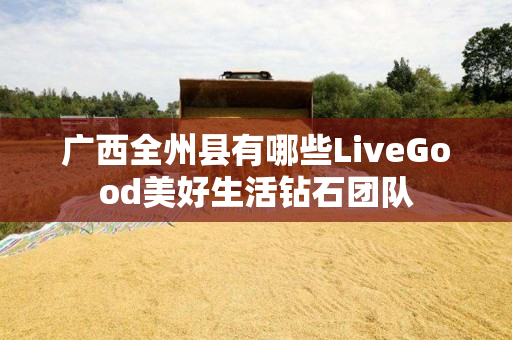 广西全州县有哪些LiveGood美好生活钻石团队