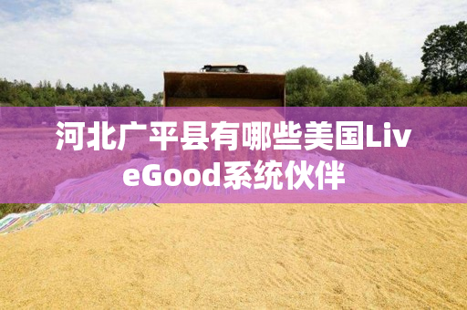 河北广平县有哪些美国LiveGood系统伙伴