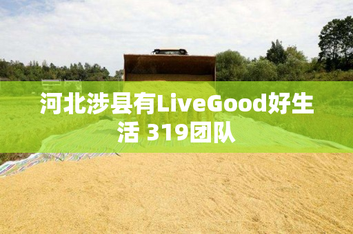 河北涉县有LiveGood好生活 319团队