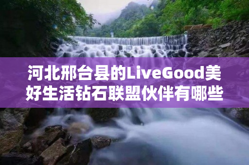 河北邢台县的LiveGood美好生活钻石联盟伙伴有哪些