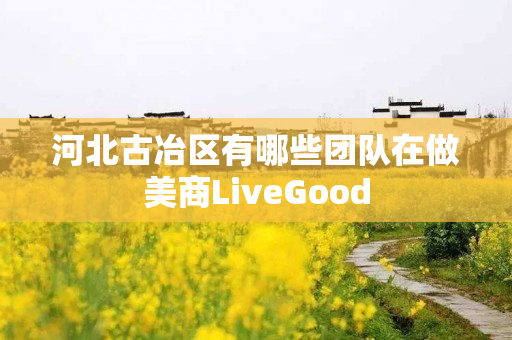 河北古冶区有哪些团队在做美商LiveGood