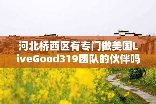 河北桥西区有专门做美国LiveGood319团队的伙伴吗