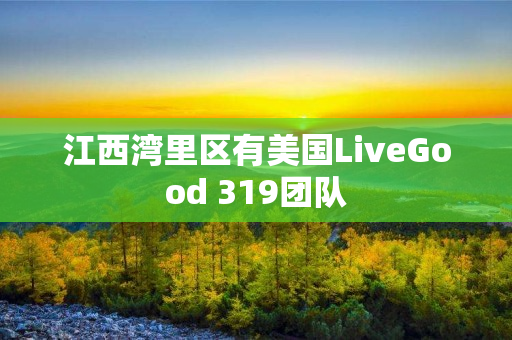 江西湾里区有美国LiveGood 319团队