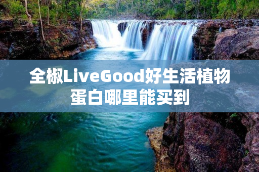 全椒LiveGood好生活植物蛋白哪里能买到