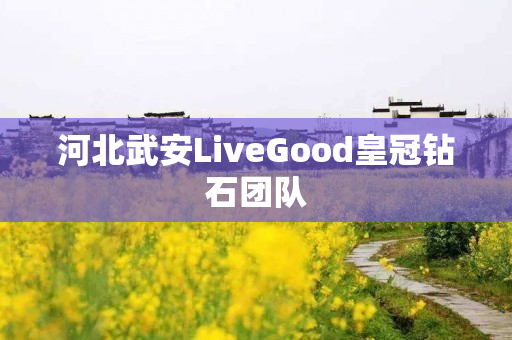 河北武安LiveGood皇冠钻石团队