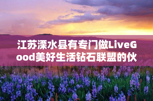 江苏溧水县有专门做LiveGood美好生活钻石联盟的伙伴吗