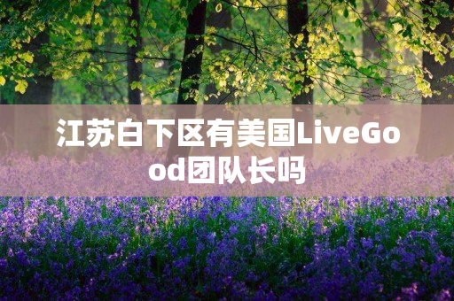 江苏白下区有美国LiveGood团队长吗