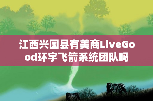 江西兴国县有美商LiveGood环宇飞箭系统团队吗