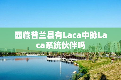 西藏普兰县有Laca中脉Laca系统伙伴吗