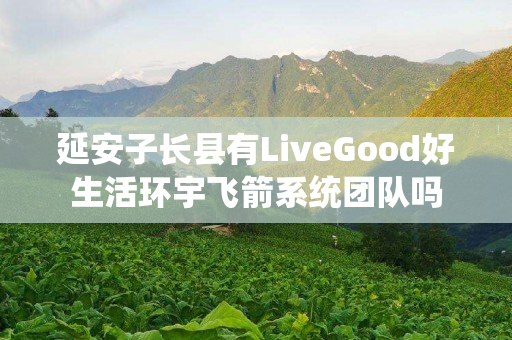 延安子长县有LiveGood好生活环宇飞箭系统团队吗