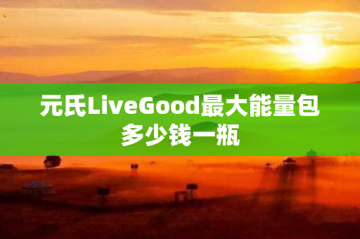 元氏LiveGood最大能量包多少钱一瓶