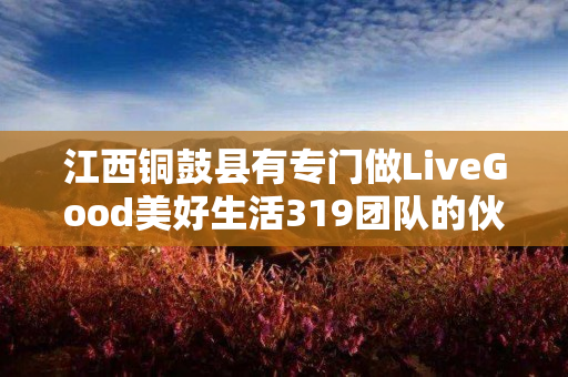 江西铜鼓县有专门做LiveGood美好生活319团队的伙伴吗