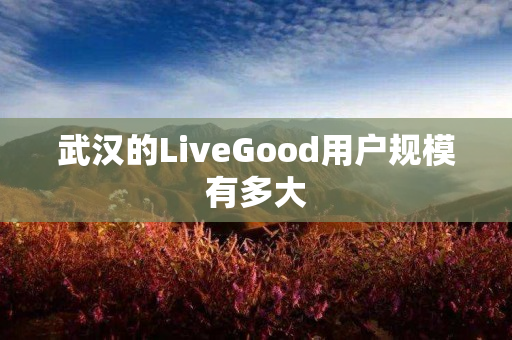 武汉的LiveGood用户规模有多大