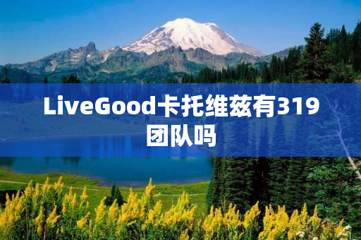 LiveGood卡托维兹有319团队吗