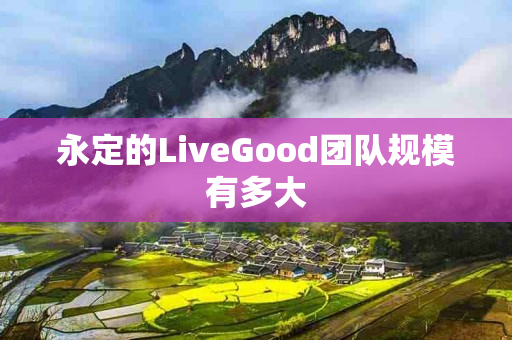 永定的LiveGood团队规模有多大