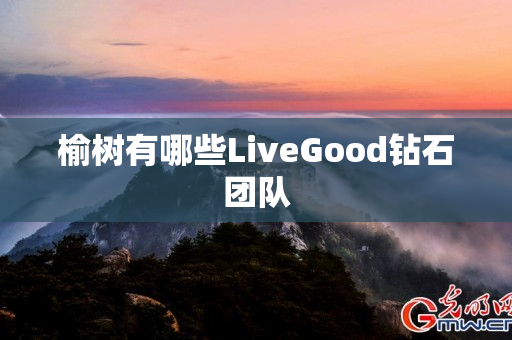 榆树有哪些LiveGood钻石团队