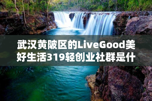 武汉黄陂区的LiveGood美好生活319轻创业社群是什么