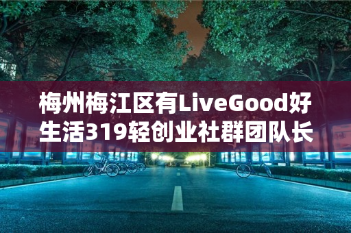 梅州梅江区有LiveGood好生活319轻创业社群团队长吗