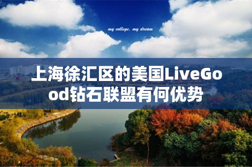 上海徐汇区的美国LiveGood钻石联盟有何优势