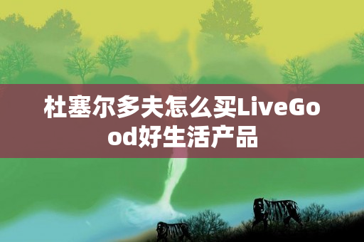 杜塞尔多夫怎么买LiveGood好生活产品