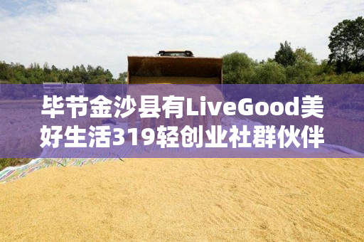 毕节金沙县有LiveGood美好生活319轻创业社群伙伴吗