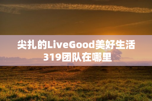 尖扎的LiveGood美好生活 319团队在哪里