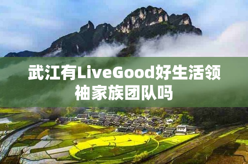 武江有LiveGood好生活领袖家族团队吗