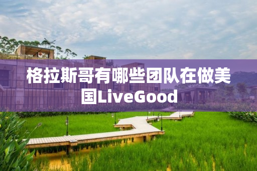 格拉斯哥有哪些团队在做美国LiveGood