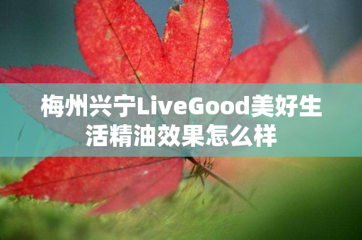 梅州兴宁LiveGood美好生活精油效果怎么样