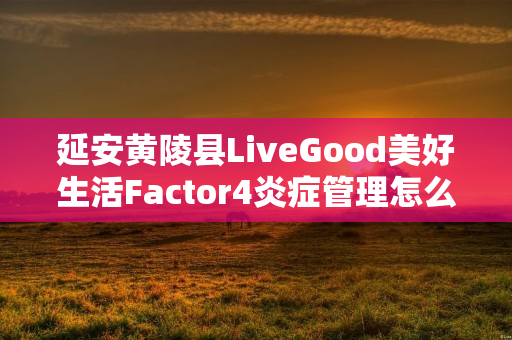 延安黄陵县LiveGood美好生活Factor4炎症管理怎么样