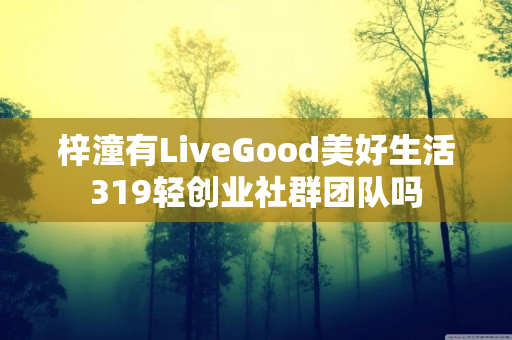 梓潼有LiveGood美好生活319轻创业社群团队吗