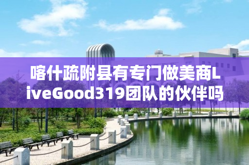 喀什疏附县有专门做美商LiveGood319团队的伙伴吗