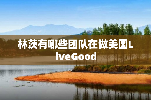 林茨有哪些团队在做美国LiveGood