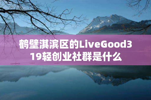 鹤壁淇滨区的LiveGood319轻创业社群是什么