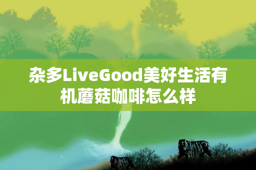 杂多LiveGood美好生活有机蘑菇咖啡怎么样