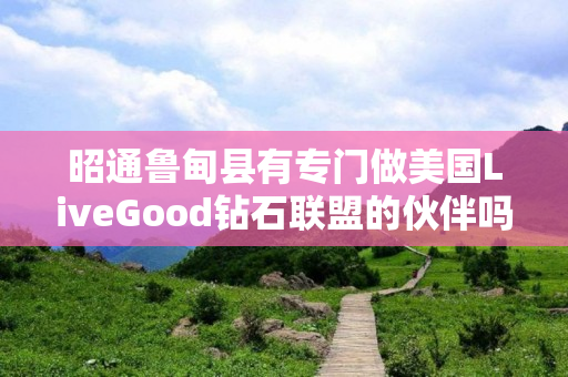 昭通鲁甸县有专门做美国LiveGood钻石联盟的伙伴吗