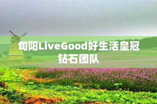 旬阳LiveGood好生活皇冠钻石团队