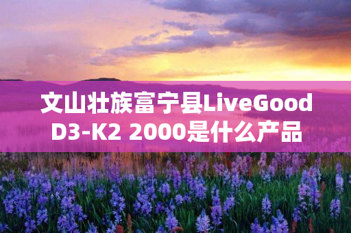 文山壮族富宁县LiveGoodD3-K2 2000是什么产品