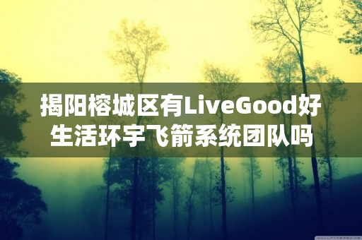 揭阳榕城区有LiveGood好生活环宇飞箭系统团队吗