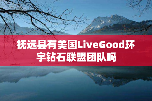 抚远县有美国LiveGood环宇钻石联盟团队吗