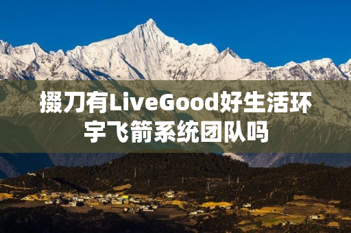 掇刀有LiveGood好生活环宇飞箭系统团队吗