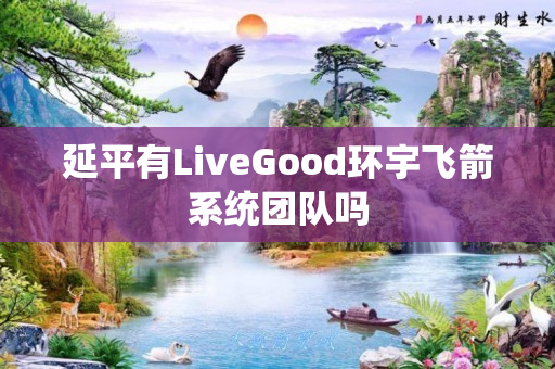 延平有LiveGood环宇飞箭系统团队吗