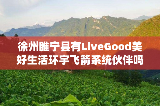 徐州睢宁县有LiveGood美好生活环宇飞箭系统伙伴吗