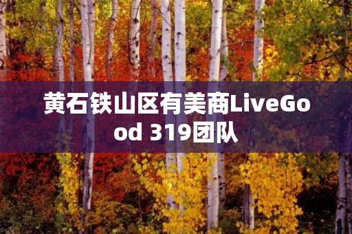 黄石铁山区有美商LiveGood 319团队