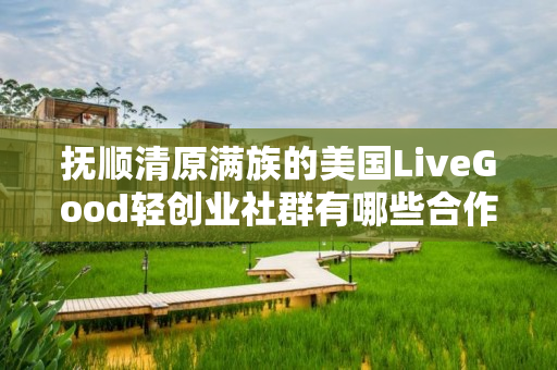 抚顺清原满族的美国LiveGood轻创业社群有哪些合作机会